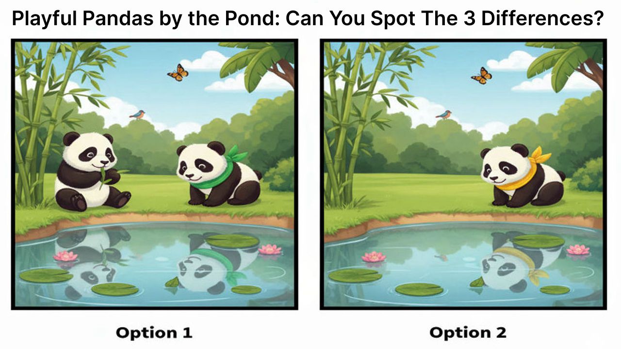 Playful Pandas by the Pond: Can You Spot the 3 Hidden Differences?