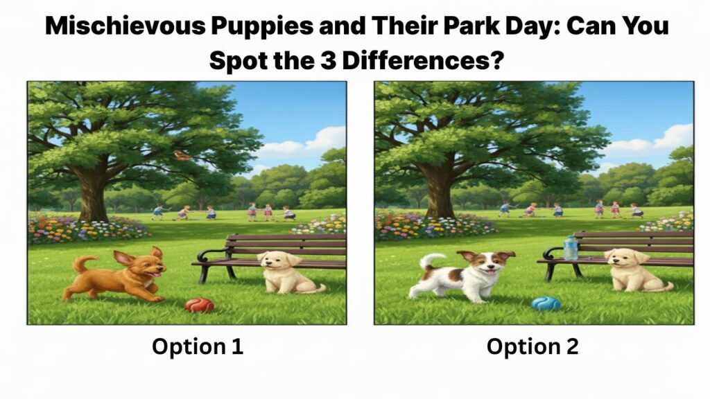 Mischievous Puppies and Their Park Day: Can You Spot the 3 Differences?