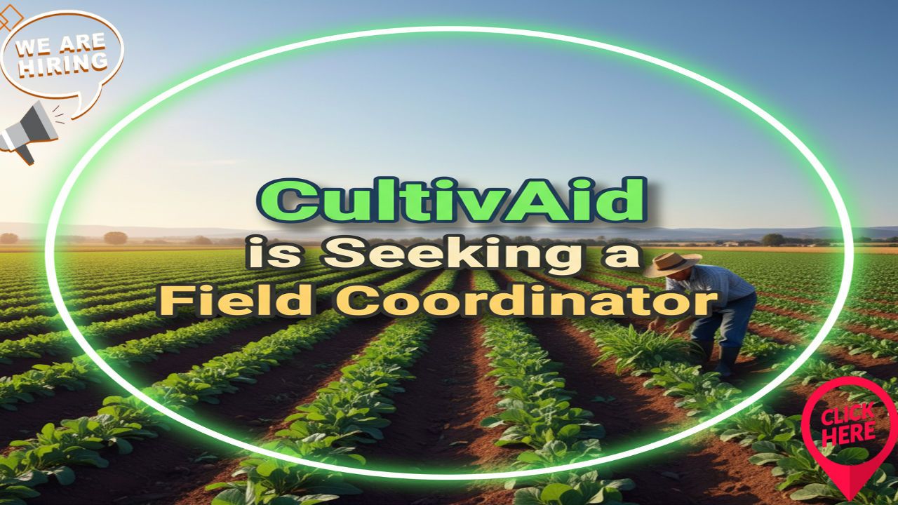 CultivAid Seeks Field Coordinator – Kenya: Role Details, Qualifications, and How to Apply